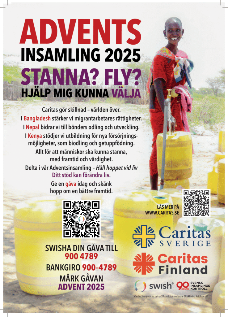 Adventsinsamling 2025